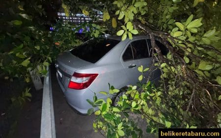 Kereta Kena Hempap Pokok Boleh Claim Insurans Kereta kena hempap dengan pokok patut ada insurans bencana alam special perils
